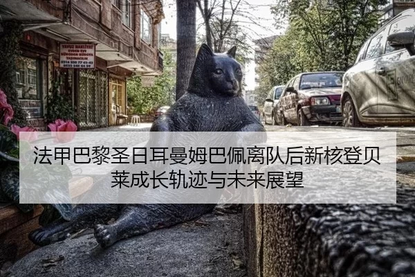 fa-jia-ba-li-sheng-ri-er-man-mu-ba-pei-li-dui-hou-xin-he-deng-bei-lai-cheng-zhang-gui-ji-yu-wei-lai-zhan-wang-2-800.jpg