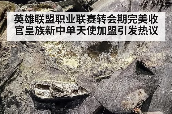 英雄联盟职业联赛转会期完美收官皇族新中单天使加盟引发热议
