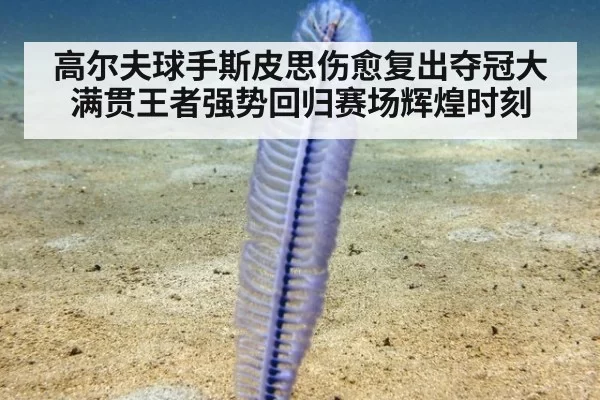 高尔夫球手斯皮思伤愈复出夺冠大满贯王者强势回归赛场辉煌时刻